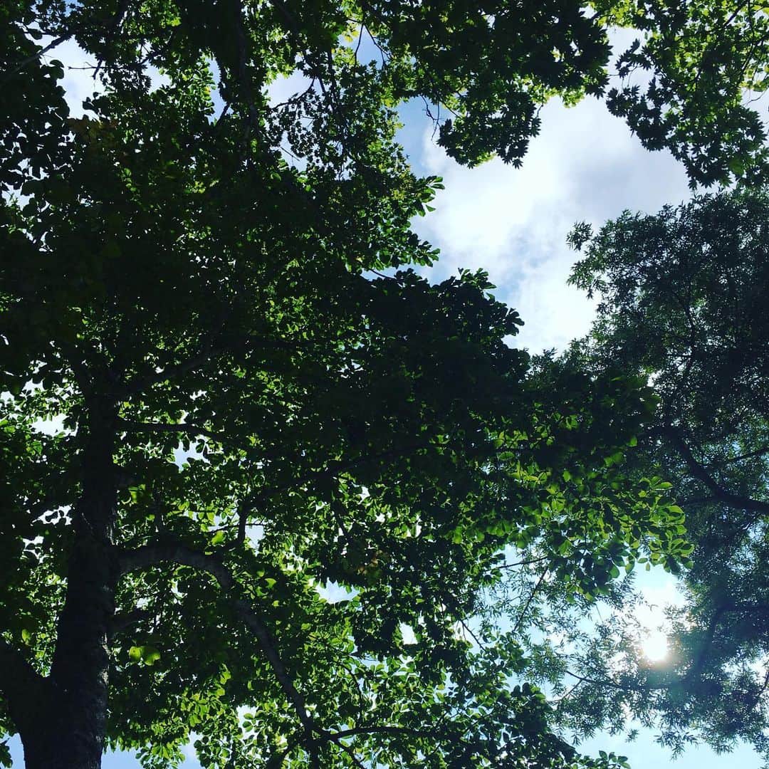 のインスタグラム：「今日の撮影あと、スタジオから少し歩いて家路につきました。  震災から9年。 あの日もその瞬間までは、春に向かう途中のいつも日常がそこにあった気がします。  誰もが必死で日常を取り戻しつつ迎えた9年目の今、また日常が揺らいでいます。  現在のような不安な日常に早く終わりがくれば良いと願いつつ、今は粛々と目の前にある私でも出来ることを行い、その中にささやかな幸せを感じとりながら進んで行けたらと思います。」