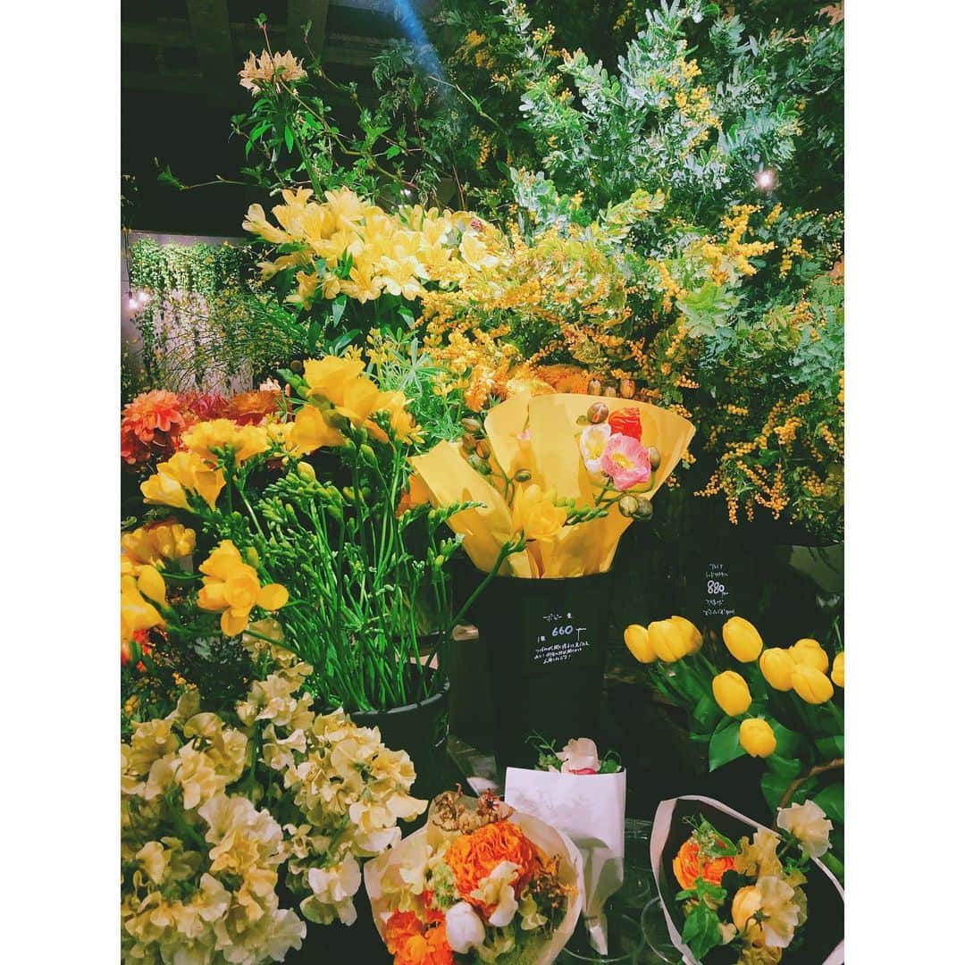 潘めぐみさんのインスタグラム写真 - (潘めぐみInstagram)「🌼 🌼 🌼 . 花を愛でる春 . 贈る花を買いました。 . その人を . イメージしながら . 想いながら選ぶのがね . なんだか . とっても . とーっても。 . 最近、Aoyama Flower Market、通ってます。 . #花 #flower #春 #spring #tokyo #南青山 #表参道 #aoyamaflowermarket」3月11日 22時17分 - han_meg_han