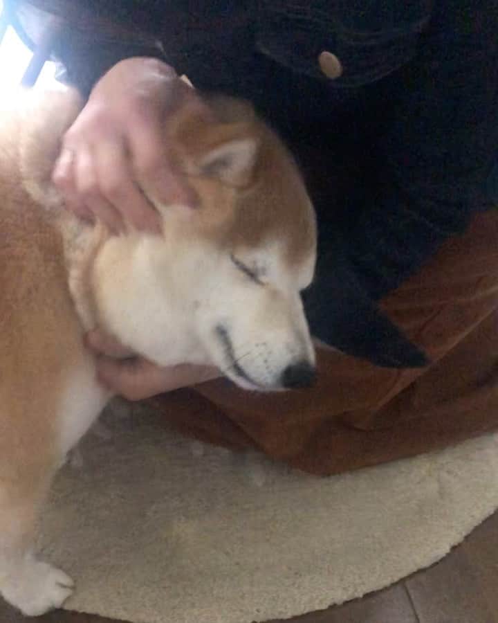 豆助左衛門（まめすけざえもん）のグルメインスタ