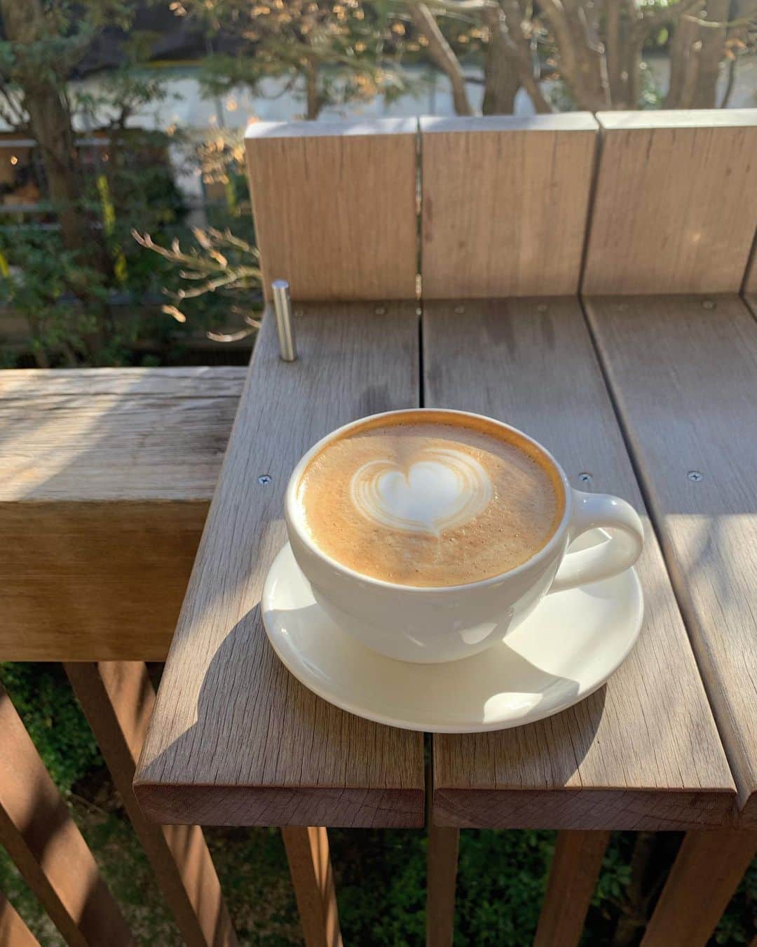 大坪はるらさんのインスタグラム写真 - (大坪はるらInstagram)「コーヒーよりカフェラテ カフェラテより紅茶☕ 自然に選ぶようになりました 頻度が高すぎるBlue Bottle🤍 #bluebottlecoffee」3月11日 22時31分 - harurappy_1211