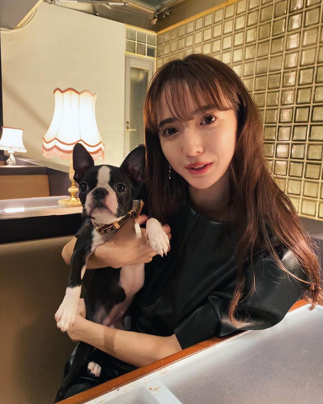平木愛美のインスタグラム：「おやすみなさい🌜🐾🧡 なんだか喋り出しそうな瞬間。大好きさんが撮ってくれた。へちたんがうるうるおめめでひたすらに可愛いです。  頑張ってる皆さん、今が大変な皆さん、日々おつかれさまです。  癒しな夜を。  たくさん寝て、元気つけましょー🌖」
