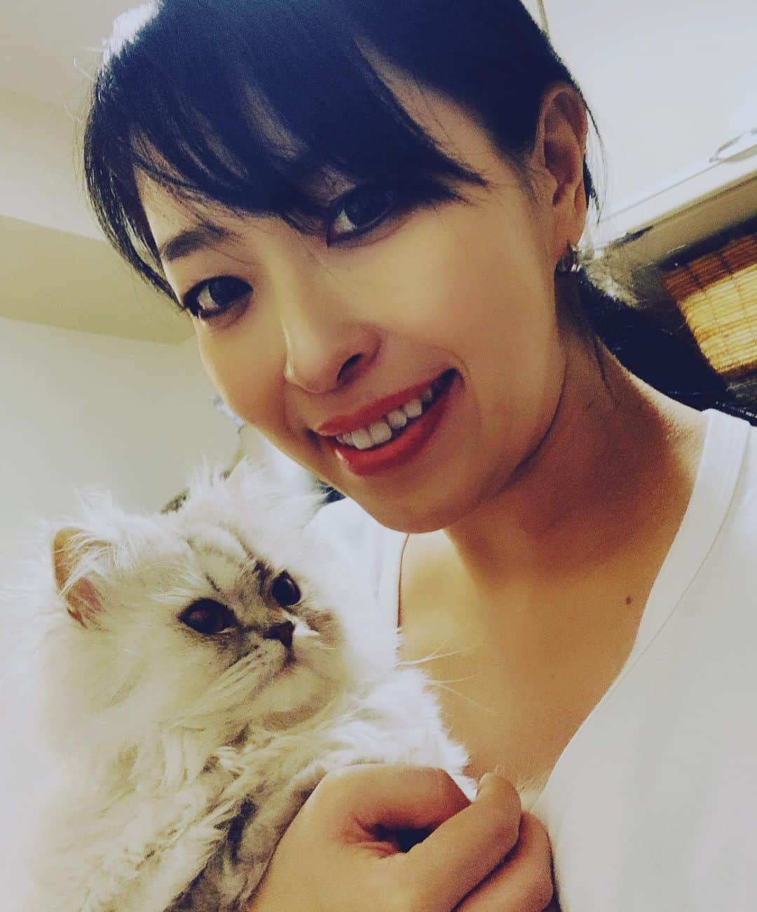 SATOKOさんのインスタグラム写真 - (SATOKOInstagram)「今日の妊婦と猫。 #妊婦だってビビアン着たい #catstagram #magiyoo #暇つぶし自撮り」3月11日 23時33分 - fc_satoko
