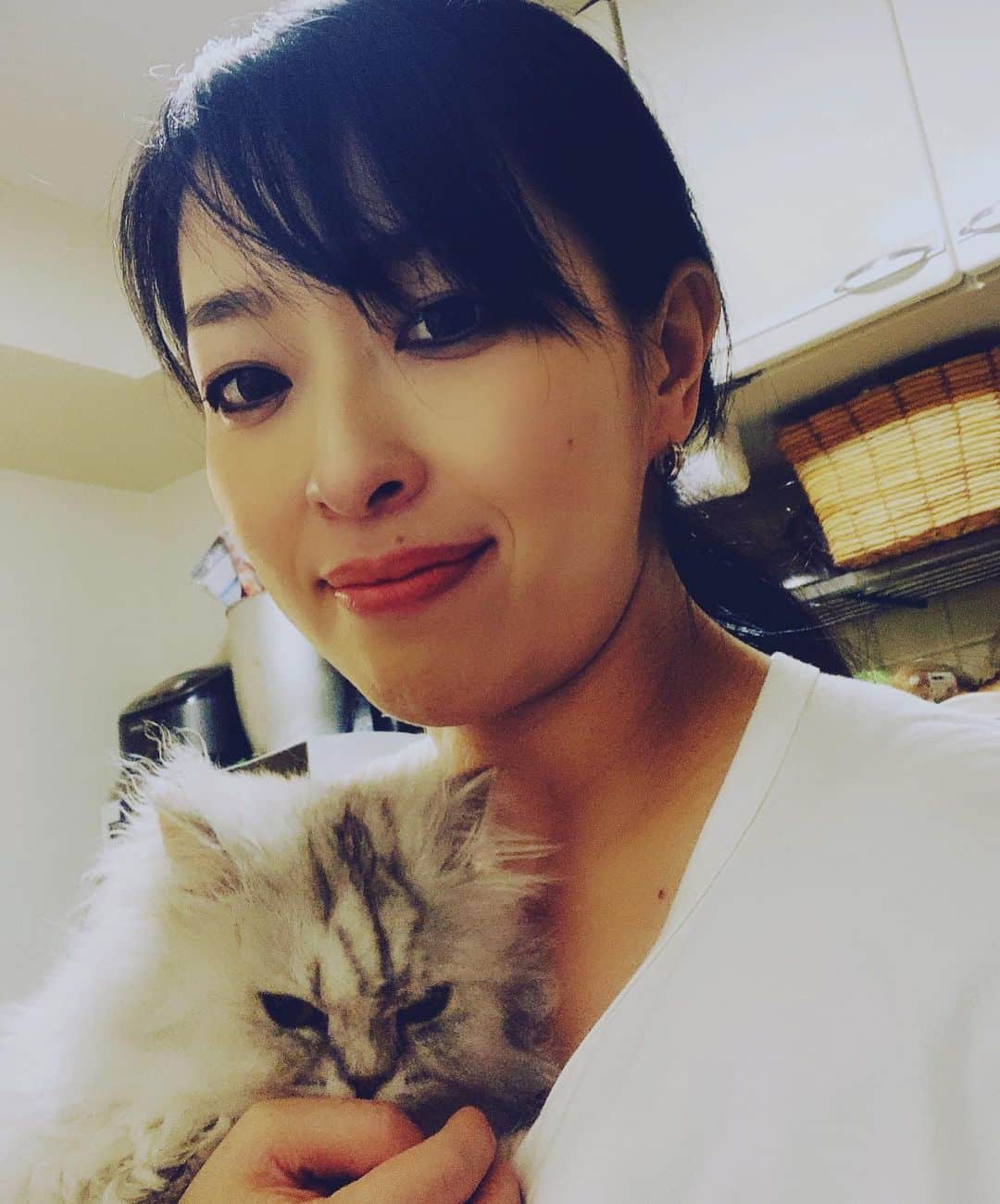 SATOKOさんのインスタグラム写真 - (SATOKOInstagram)「今日の妊婦と猫。 #妊婦だってビビアン着たい #catstagram #magiyoo #暇つぶし自撮り」3月11日 23時33分 - fc_satoko