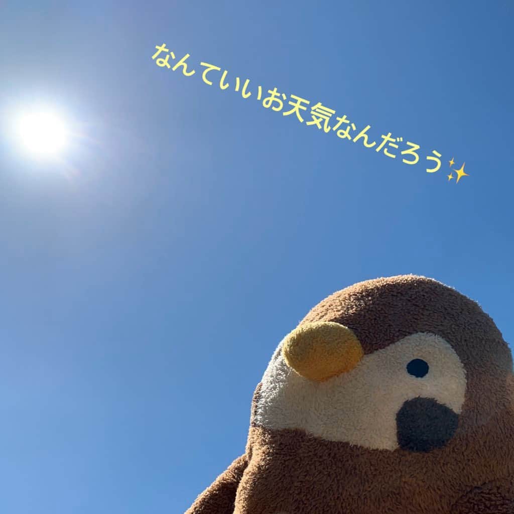 江口ともみのインスタグラム