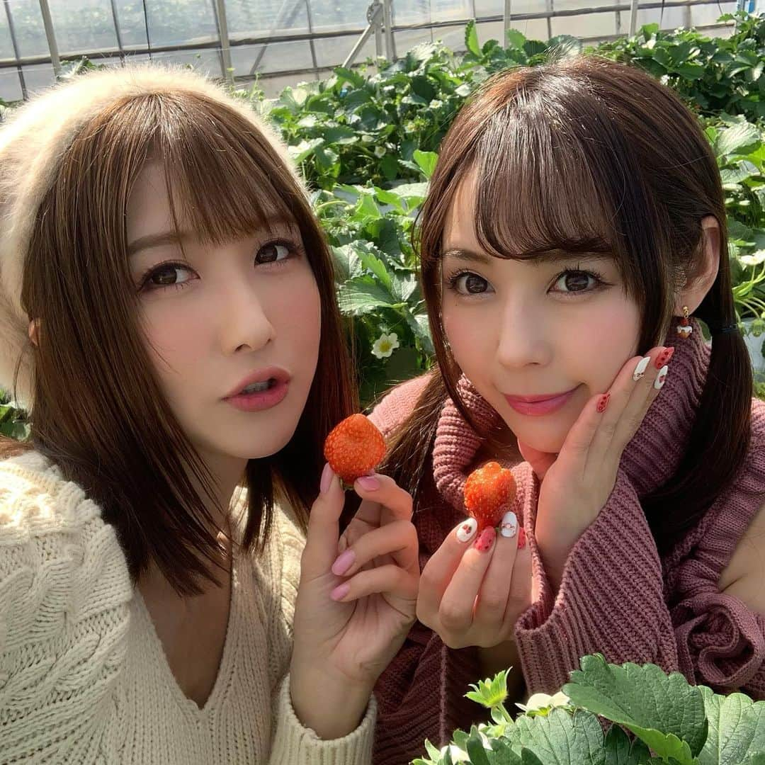 大槻ひびきさんのインスタグラム写真 - (大槻ひびきInstagram)「YouTube ひびやんTVの他に サブチャンネル 『ひびやんちゃんねる』の開設が 決定しました🥰 わーい💓 自由に色んな事やってみようと思ってます⭐️ そして！ るーちゃんもチャンネル開設おめでとう⭐️ 楽しみにしててね🥰 #japan #youtube  #youtuber #friend #girls #strawberry #イチゴ狩り #佐野ラーメン #栃木県」3月12日 1時33分 - yanhibi0221