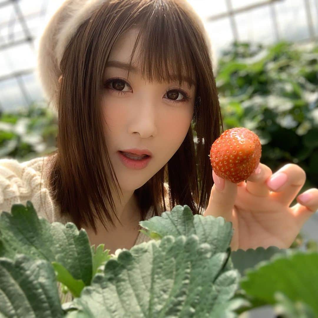 大槻ひびきのグルメインスタ