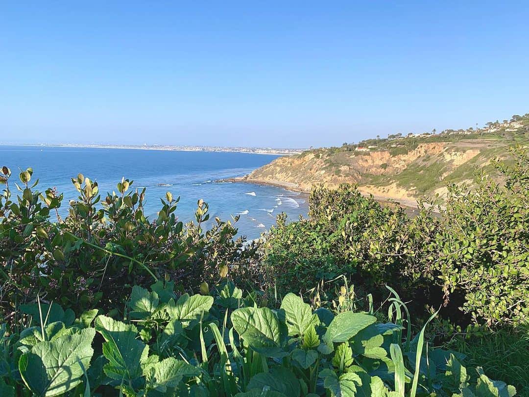 筑間はこべのインスタグラム：「Lunada Bay🌊⁎⁺˳✧༚﻿ ﻿ #まだ沈まない太陽🌞 #palosverdes  #パロスベルデス #サーファー🏄‍♂️いる」