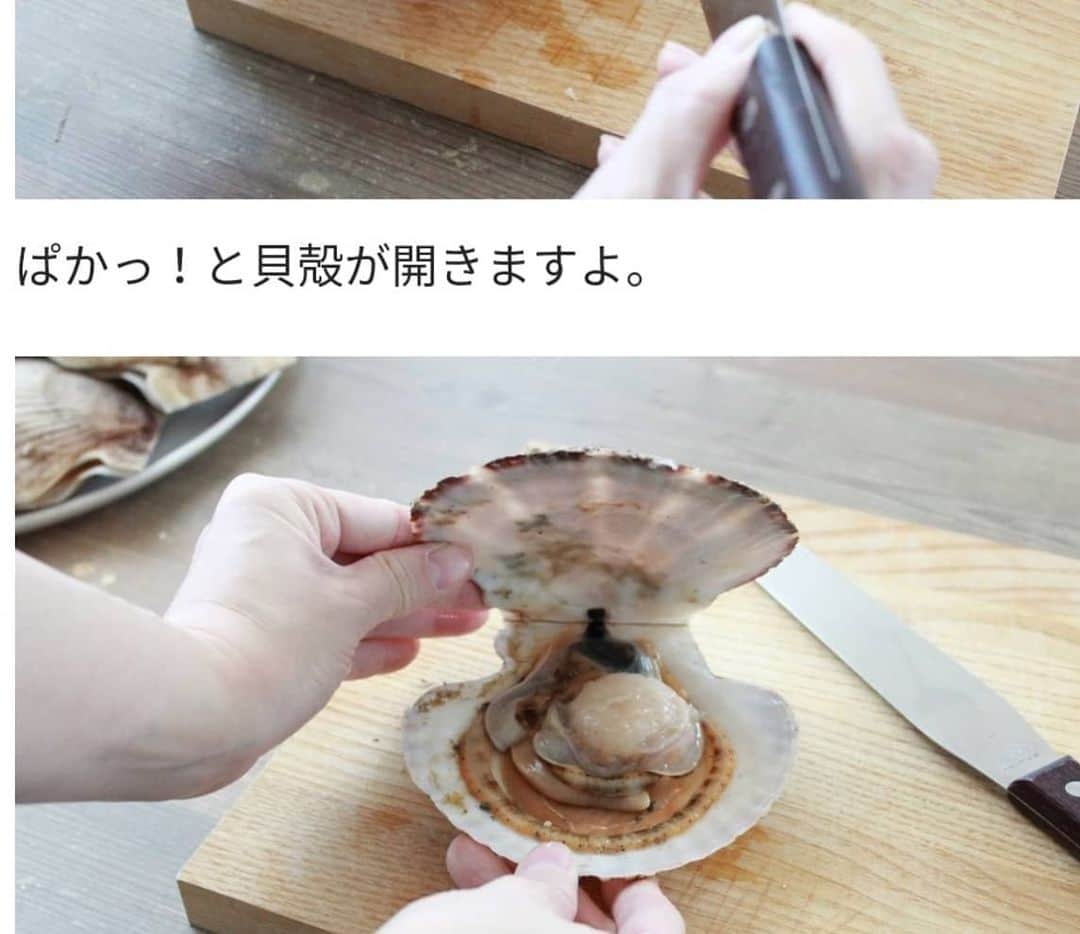 三島葉子さんのインスタグラム写真 - (三島葉子Instagram)「【TokyoWorks】リンベルスタッフブログにレシピが公開されました💡 マッシュポテトをホワイトソースに見立てたホタテのグラタンと炙りカルパッチョ。活け帆立貝の捌き方も掲載しています。 よろしければ検索くださいませー。  #リンベルスタッフブログで検索 #日本の極み #三島葉子」3月12日 14時39分 - mishima_yoko