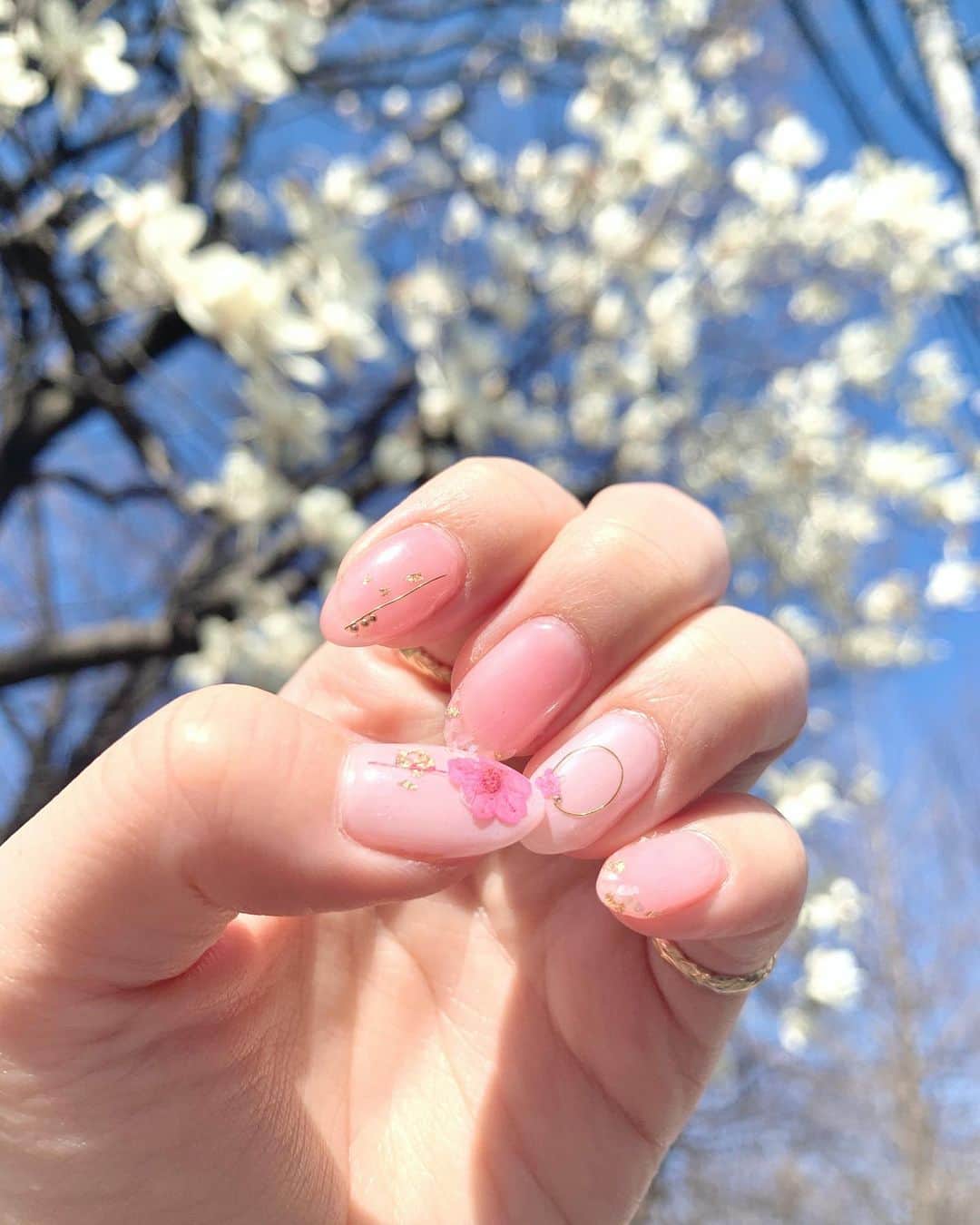 河西里音さんのインスタグラム写真 - (河西里音Instagram)「降り注ぐ太陽に照らされる お花たち見てたら なんだか物凄いエネルギー感じた✨ 生命力というか生きてるなぁって🥴💕 気持ちぃ♡ネイルも春色に🌸 #spring #beautifulflowers  #pink #nail #simple  #押し花ネイル #ボーテ代官山 #🌸」3月12日 14時59分 - rion_kasai
