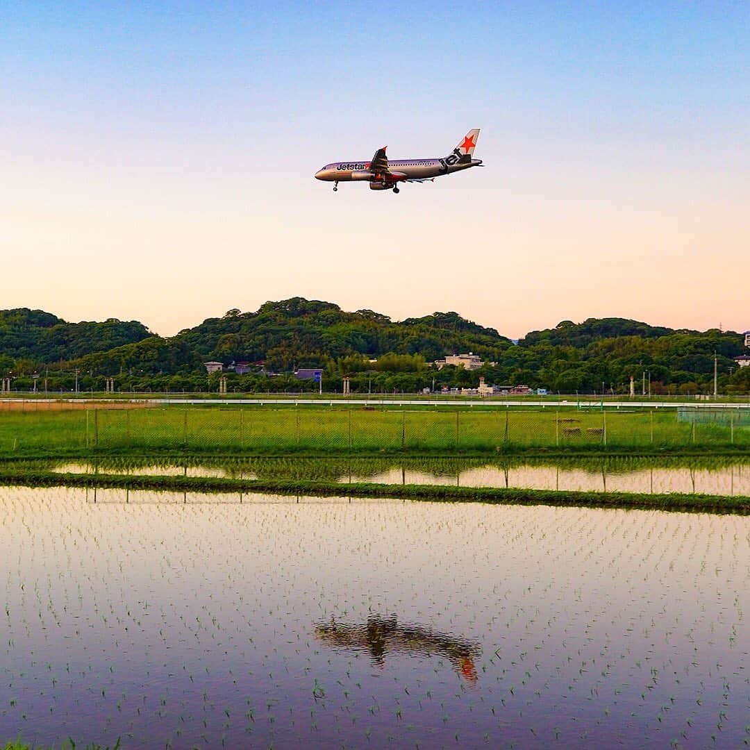 ジェットスター航空のインスタグラム