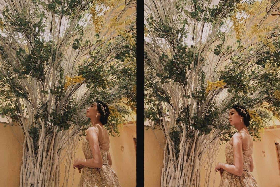 三戸セリカのインスタグラム：「🌝 #mimosa  #weddingdress #internationalwomensday」