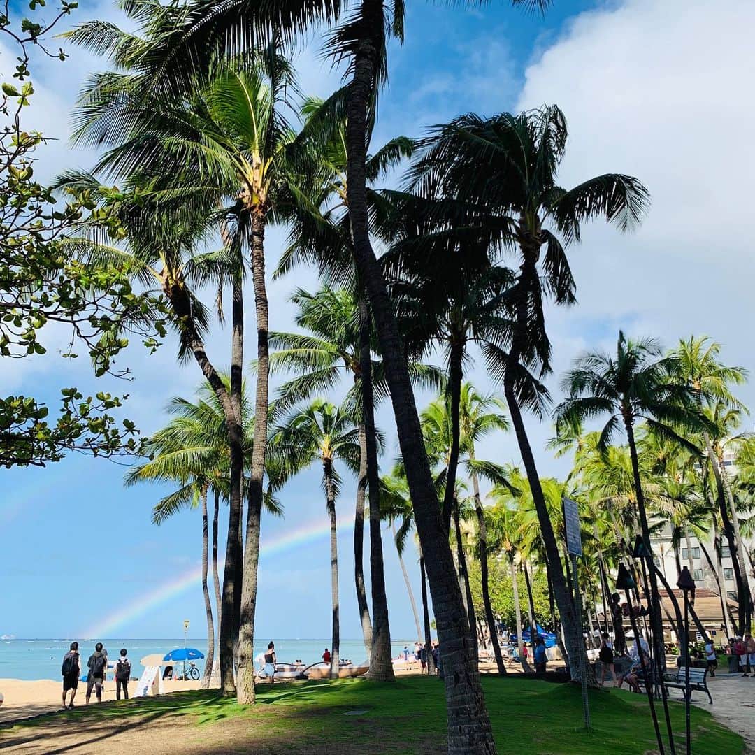 柳田菜月さんのインスタグラム写真 - (柳田菜月Instagram)「. ハワイで見た虹🌈🌴 . #ハワイ #旅行 #景色 #hawaii  #reinbow  #trip」3月12日 8時19分 - natsuki.3190