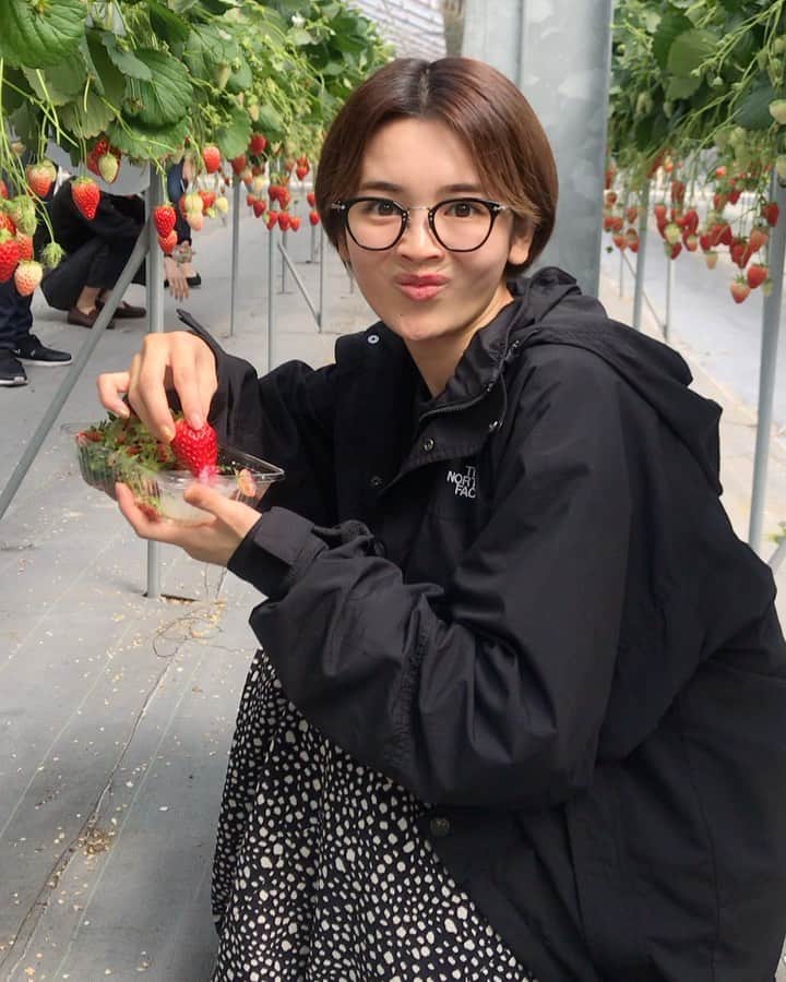 富久美玲のグルメインスタ