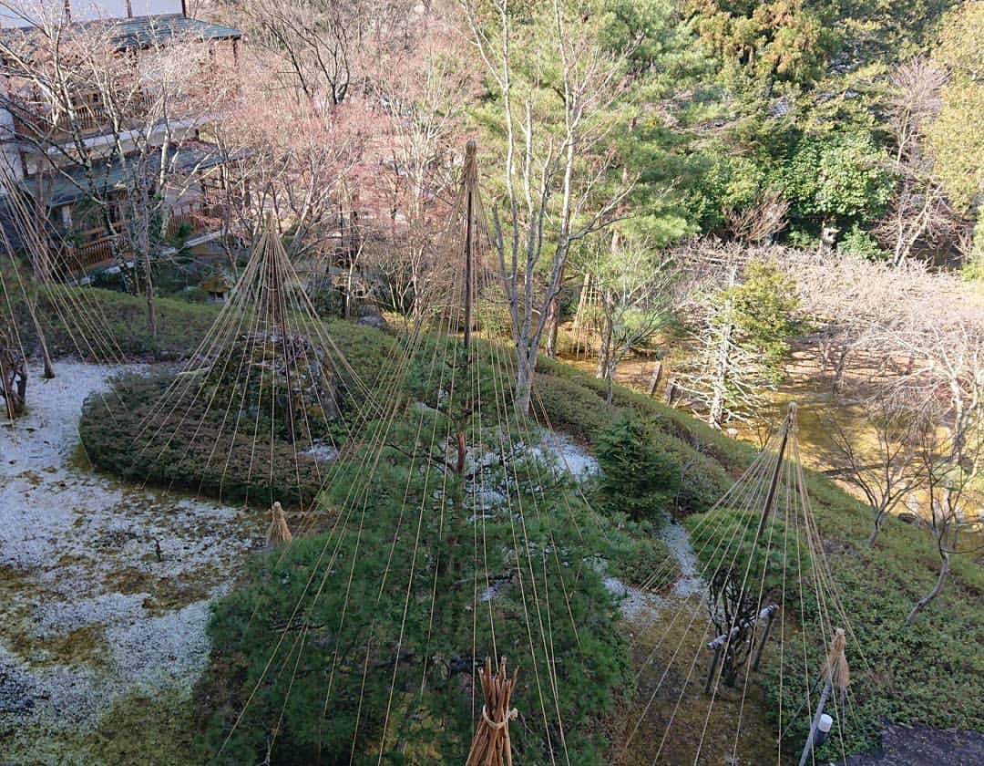 上林ホテル仙壽閣のインスタグラム：「お部屋のベランダから見た庭園の様子です。#がんばれ長野 #japan #温泉 #庭園 #senjukaku #長野電鉄 #地獄谷野猿公苑最寄りの宿 #写真撮ってる人と繋がりたい」