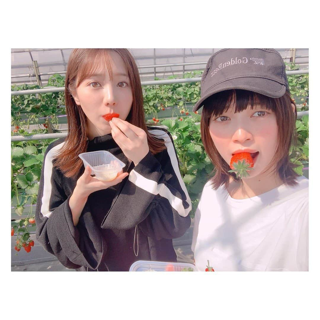 能條愛未さんのインスタグラム写真 - (能條愛未Instagram)「先日やってきたイチゴ狩り。 イチゴ持つとついつい写真集っぽくキメたいってなる かわいこぶりっこしたくなる。　 不思議  #まこちゃんみおやえ #なんだかんだ集まってしまうこの子達 #お腹たぷたぷになるまで食べました」3月12日 10時14分 - noujoami_official