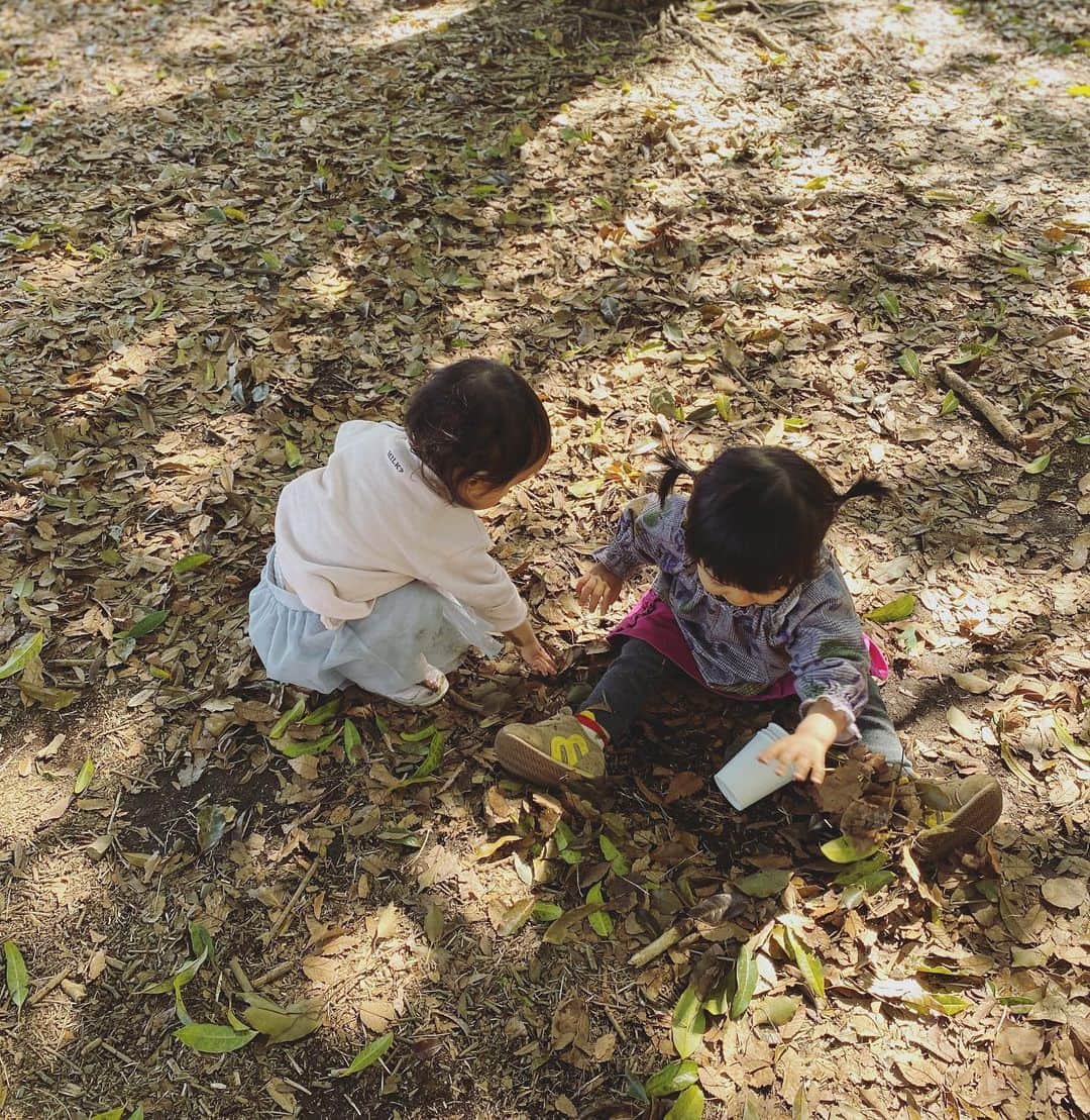 堀友理子さんのインスタグラム写真 - (堀友理子Instagram)「代々木公園で友達とピクニック😆✨ 葉っぱ拾いに夢中☺️ にしてもiPhone 6から11に替えたら、画質の良さに感動🥺 #代々木公園 #ピクニック #1歳の女の子達」3月12日 10時40分 - horiyurisanpo