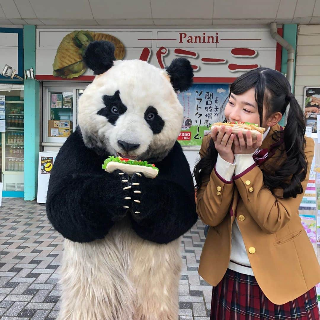 星星（セイセイ）さんのインスタグラム写真 - (星星（セイセイ）Instagram)「🥪 . きょうの #ベラベラENGLISH は… 🌟To go, please! 🌟持ち帰りで！ . #星星 #パンダ #panda #pandagram #パンダ好きな人と繋がりたい #レイア #相方 #ZIP!」3月12日 16時20分 - seisei_panda