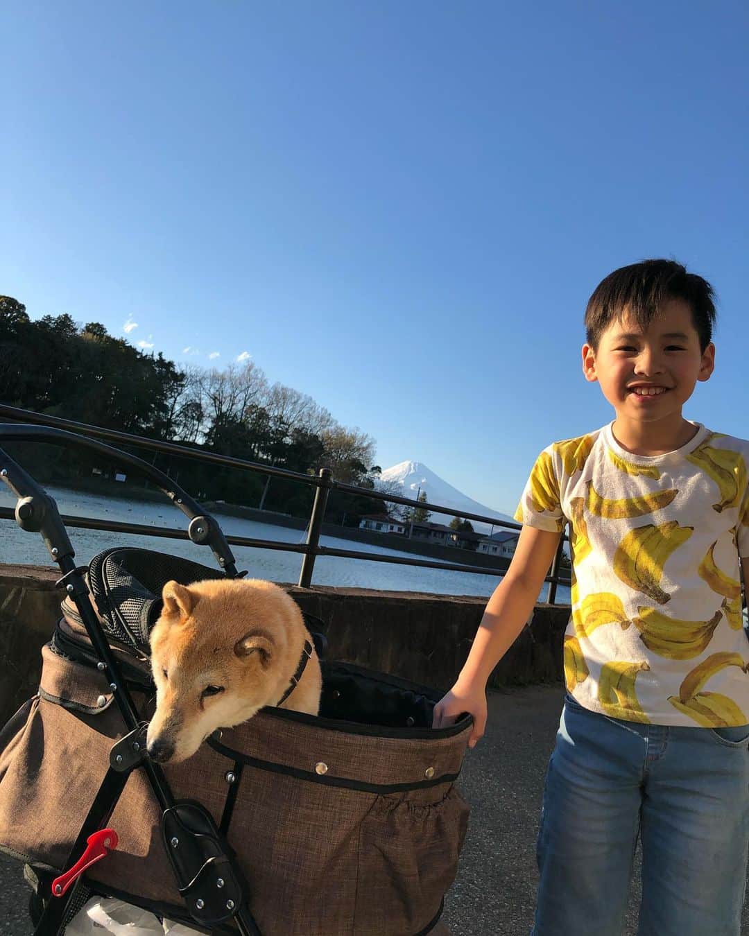 おーせさんのインスタグラム写真 - (おーせInstagram)「森家のかぞく旅  海に行きたかったんだけど強風のため、近くの公園に！！！ 住宅街なのに突然の池出没でびっくりしました！！！ 富士山とのコラボもすばらしいー！！！！ #柴犬#譲渡犬#出会いは譲渡会#shiba#前庭疾患のあと#散歩道#15歳の老犬#柴スタグラム#笑う犬#犬好き#老犬#森家のかぞく旅#あきら号」3月12日 11時00分 - oosedon