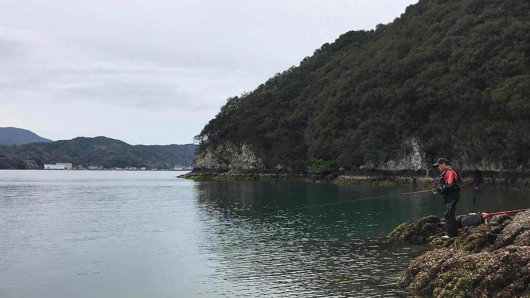 レジャーフィッシングさんのインスタグラム写真 - (レジャーフィッシングInstagram)「大知昭名人 in 愛媛県愛南町御荘湾 狙うはロクマルオーバーのチヌ。 それは名人いわく、自分との戦いでもあるそうです。  #何度でも挑戦し続ける　＃名人のライフワーク　#アタってくるのは全部ロクマルと考える　#シマノ　#極翔硬調黒鯛　#1.5号で挑みます　#ハリスは3号　#大島海産　お世話になりました！」3月12日 11時14分 - leisurefishing