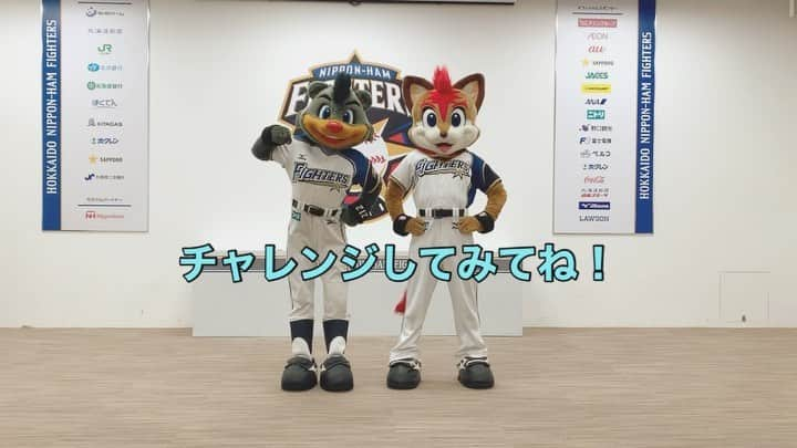 北海道日本ハムファイターズ フレップのインスタグラム