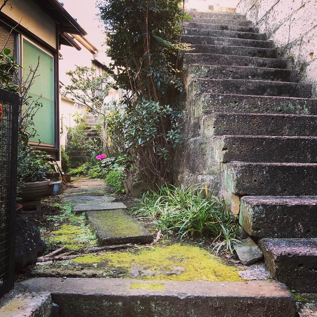 櫻井リヤのインスタグラム：「都心とは思えない静けさ　#階段#坂道#港区」