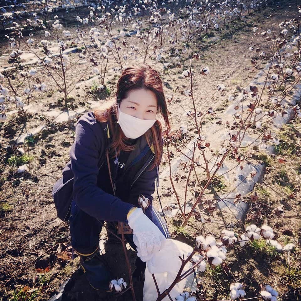 井上貴子のインスタグラム：「東日本大震災で 亡くなられた方々の ご冥福をお祈り申し上げます とともに… 被災された皆さまに 心よりお見舞い申し上げます。  昨日で9年。  書きたいことはたくさんある。  でも  復興支援って言ったって 個人レベルでは ちっぽけ過ぎて なんの役にもたてない。  どうか「いつもの生活」に 1日も早く戻れますように…  という気持ちで 無理なく継続していける 復興の応援を続けています。 「東北コットンプロジェクト」  津波被害を受けた農地で  春に苗を植えて 11月にコットンを摘みに行く…  そのコットンが生地になり 「東北コットン」として 世の中に流れて支援となる。 「できることはある」  Happyで^ ^  #井上貴子  #LLPWX #女子プロレス #紅緒と柊音 #トイプードル部 #神取忍 #東北コットンプロジェクト #東日本大震災」