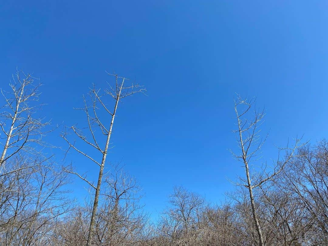 近藤千尋さんのインスタグラム写真 - (近藤千尋Instagram)「今日も気持ちいい天気🌞 空気が澄んでて最高です✨🌈 ただ今、公園で滑り台30回目くらいの娘。笑 母は、真っ青なカーディガンです😊 家族でゆっくりできた連休でした👧 久々インスタライブしようと思ったけど 次女が起きそうだなぁ。。。笑👶」3月12日 13時30分 - chipichan.1215