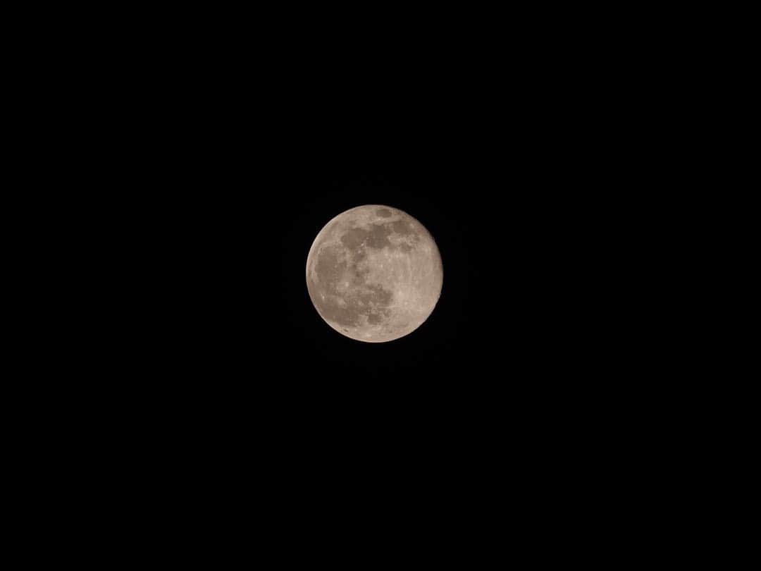 堀ジーンさんのインスタグラム写真 - (堀ジーンInstagram)「3月の満月は『ワームムーン』と言うそうです。 日本で言うと芋虫月です。　 来月の満月はピンクムーンです😌  #SUPERWORMMOON #spacenerd」3月12日 13時59分 - horijeanne