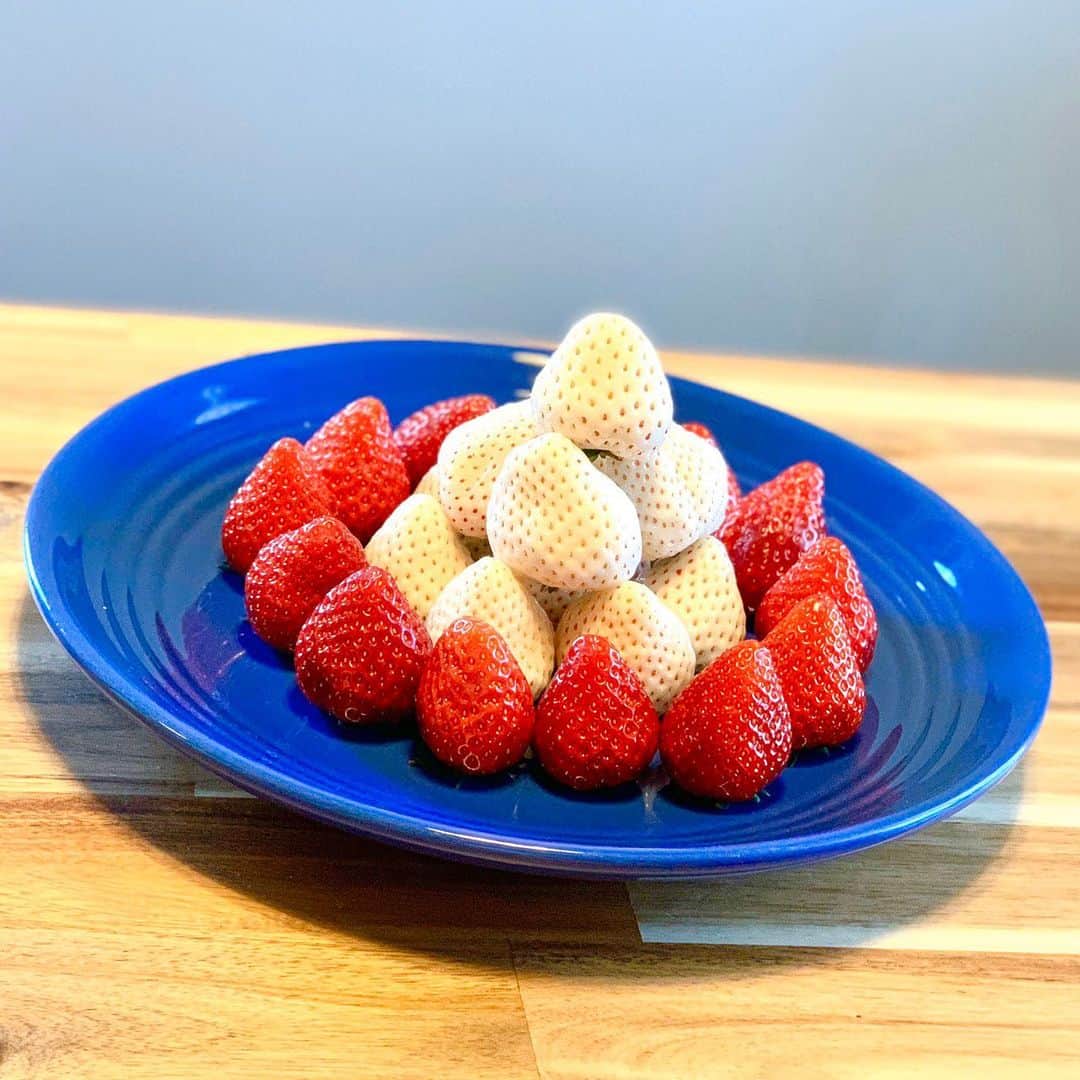 金井貢史のグルメインスタ