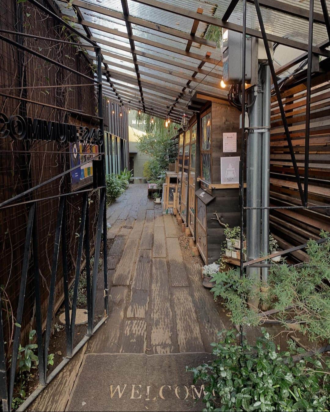 小林サラのグルメインスタ