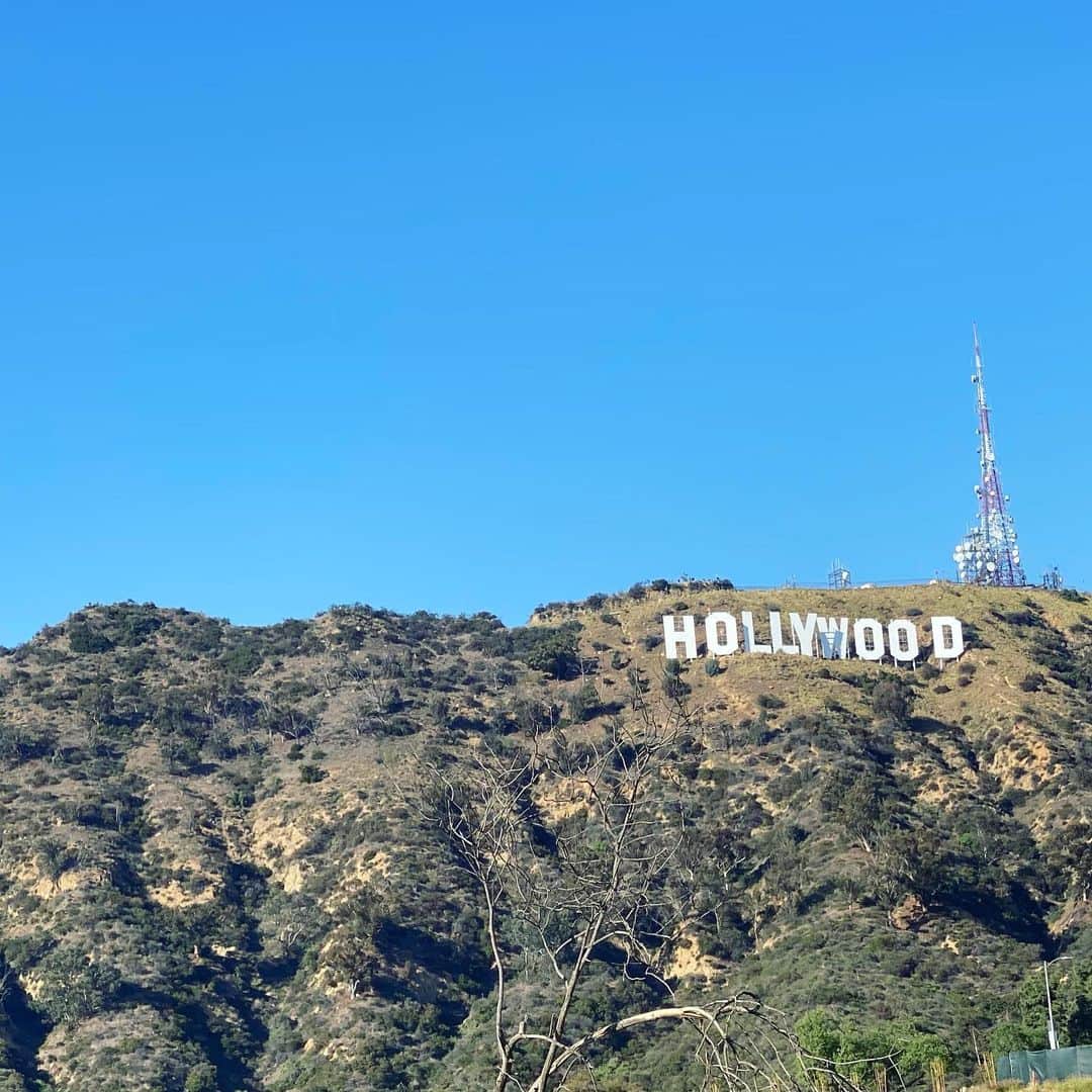 やるきげんきだいきさんのインスタグラム写真 - (やるきげんきだいきInstagram)「#hollywood #hollywoodsign #losangeles #santamonica #ロサンゼルス #ロサンゼルス留学 #語学留学」3月13日 0時07分 - suny_skywalker