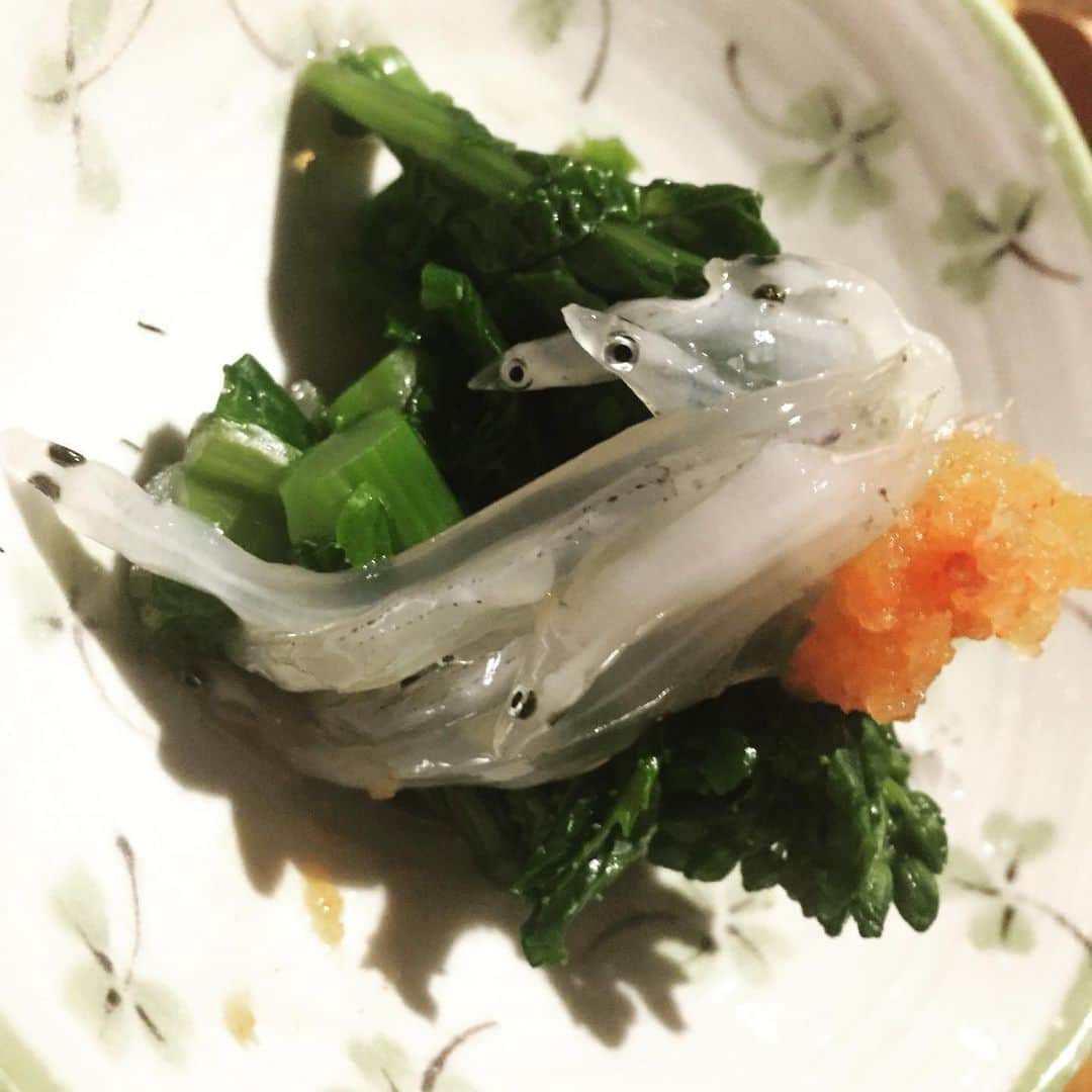 岸田繁さんのインスタグラム写真 - (岸田繁Instagram)「先週食べた季節のもの」3月13日 1時18分 - kishidashigeru