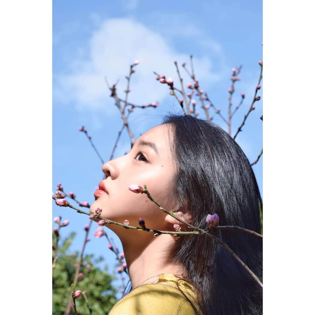 kokiさんのインスタグラム写真 - (kokiInstagram)「Almond flower buds in the garden 🌸🌸 📷 by sis 💓」3月12日 16時35分 - koki