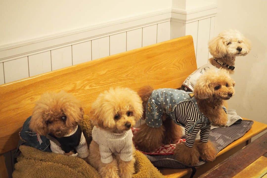 maruku. café のグルメインスタ