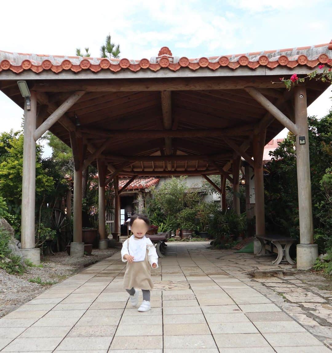 尾崎紗代子さんのインスタグラム写真 - (尾崎紗代子Instagram)「本当は水族館好きな子供達に見せたくて 美ら海水族館が目的の旅でもあったのだけど 休館になってしまったので、それ以外の場所へ😎 家族みんなでかなり楽しめました💮 . 息子はこれを機にパイナップルが かなり気になる存在になった。 パイナップルの曲が頭から離れない。。。 . 1枚目: @leceb_okinawa  2〜4枚目:花人逢(カフェ) 5〜6枚目:ナゴパイナップルパーク 7枚目:OKINAWAフルーツらんど 8〜9枚目:大家(ご飯屋さん) 10枚目:浮かれた髭妖精 .  #okinawa #沖縄 #japan #日本 #familytrip #家族旅行 #瀬底島 #sesokoisland #sesoko #leceb  #baby  #babyboy #momlife #mommylife #mommy #myboy  #kidsgram_tokyo #babyphotography #babyphoto #myson  #ママリ #育児 #男の子ママ #コドモノ #ベビフル #mamanoko #ママライフ  #3歳 #１歳」3月12日 17時08分 - osayo_osayo