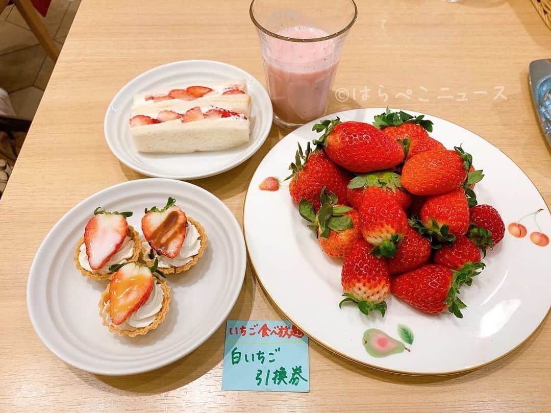 野山苺摘（グルメライター・グルメ探偵）のグルメインスタ