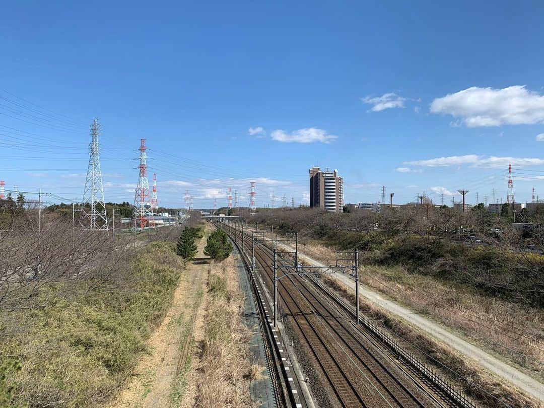 近藤祥子さんのインスタグラム写真 - (近藤祥子Instagram)「. 続いて、らーばんねっと【スマイルレポート】のロケで訪れたのはコチラ🙋🏻‍♀️ . . 北総線沿い、国道464沿いの絶景！ 線路、道路の両脇に桜が植えてあり、 真っ直ぐ続く線路、道路、北総線、飛行機の スペシャルショットが撮れる所とのこと！ . さすがに桜はまだでしたが、 木々は赤っぽくなって、開花も間もなくかも😆✨ . 白井市には他にも『今井の桜』など桜の名所が 色々あるので、気分転換にお散歩もありですね😌💓 . . #白井市 #白井駅 #白井 #北総線 #成田エクスプレス #スカイライナー #桜 #桜の名所 #国道464号 #今井の桜 #sakura #cherryblossom #千葉ニュータウン #千葉県 #らーばんねっと #スマイルレポート」3月12日 17時35分 - shoko_kondoh