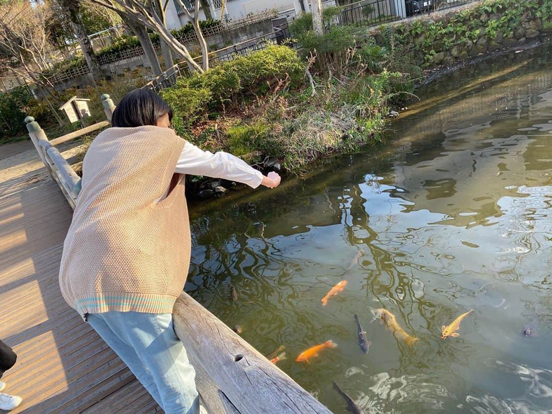 三阪咲さんのインスタグラム写真 - (三阪咲Instagram)「鯉とたわむれました。」3月12日 17時36分 - misaka_saki