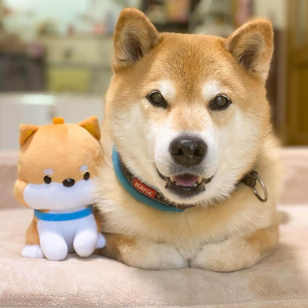 まる（まるたろう）のグルメインスタ