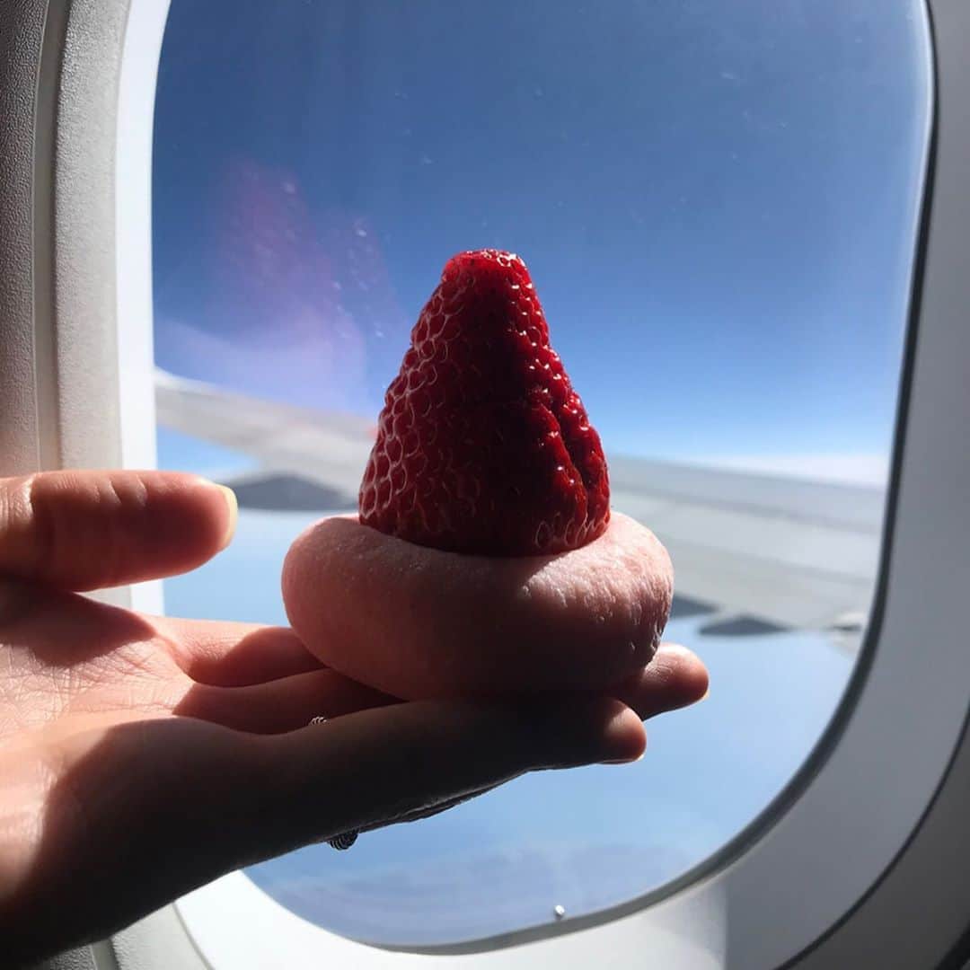 のインスタグラム：「さぬき菓匠　松風庵　かねすえ @kanesue_warabimochi  Ichigo daifuku  イチゴが練り合わされた白あんの大福の上に紅ほっぺ！ 羽田空港で目に止まって、機内で頂きました。 香川県が本店だそう。1コ¥380。 紅ほっぺ♡らぶ  今日から宮崎です。  #karinsgroumet #wagashi #Ichigodaifuku #yolo #parislife #instagood #instadaily #tflers #model #paris #asianfashionmodel #organic #bio #parisienne #trip #ana #グルメ #パリ #フランス #パリ生活 #オーガニック  #管理栄養士 #野菜ソムリエ #美容 #旅 #紅ほっぺ #春 #変な添加物入ってると萎える」