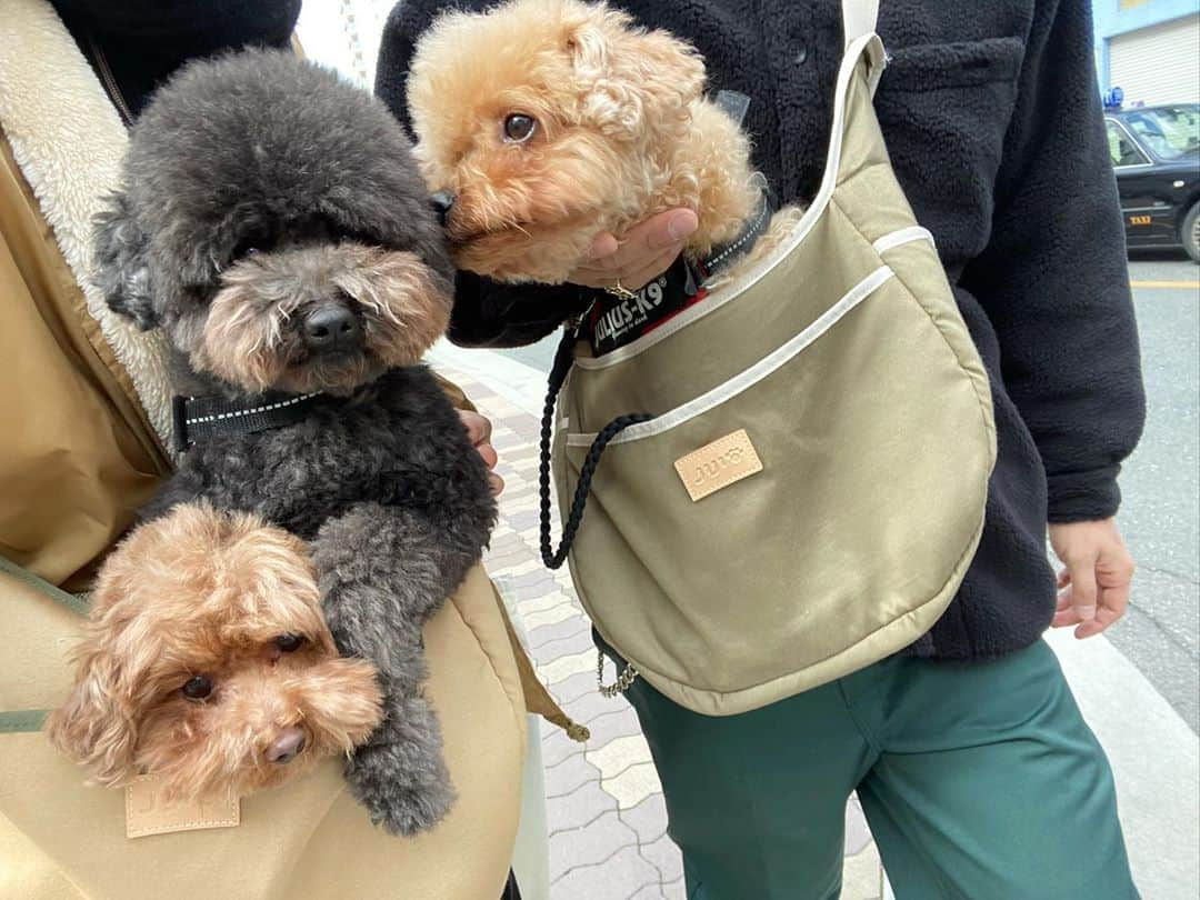 木村沙織のインスタグラム