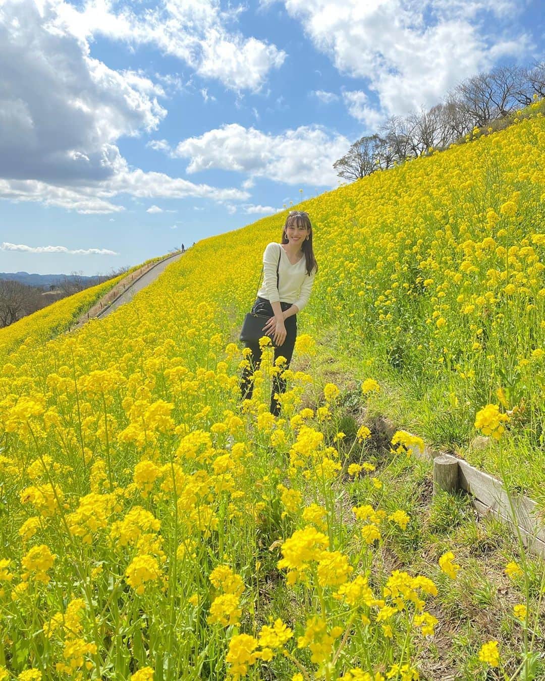 のインスタグラム：「. 昨日マザー牧場に行ってきた🌼 . 花畑で虫に襲われる2秒前😂🐝 . 乳搾り体験ができなかったのが心残りやけど🐮  綺麗な景色も見れたし 動物とも触れ合えて楽しかった🐏✨ . #花畑 #牧場 #マザー牧場 #動物 #子羊 #motherfarm #flower」