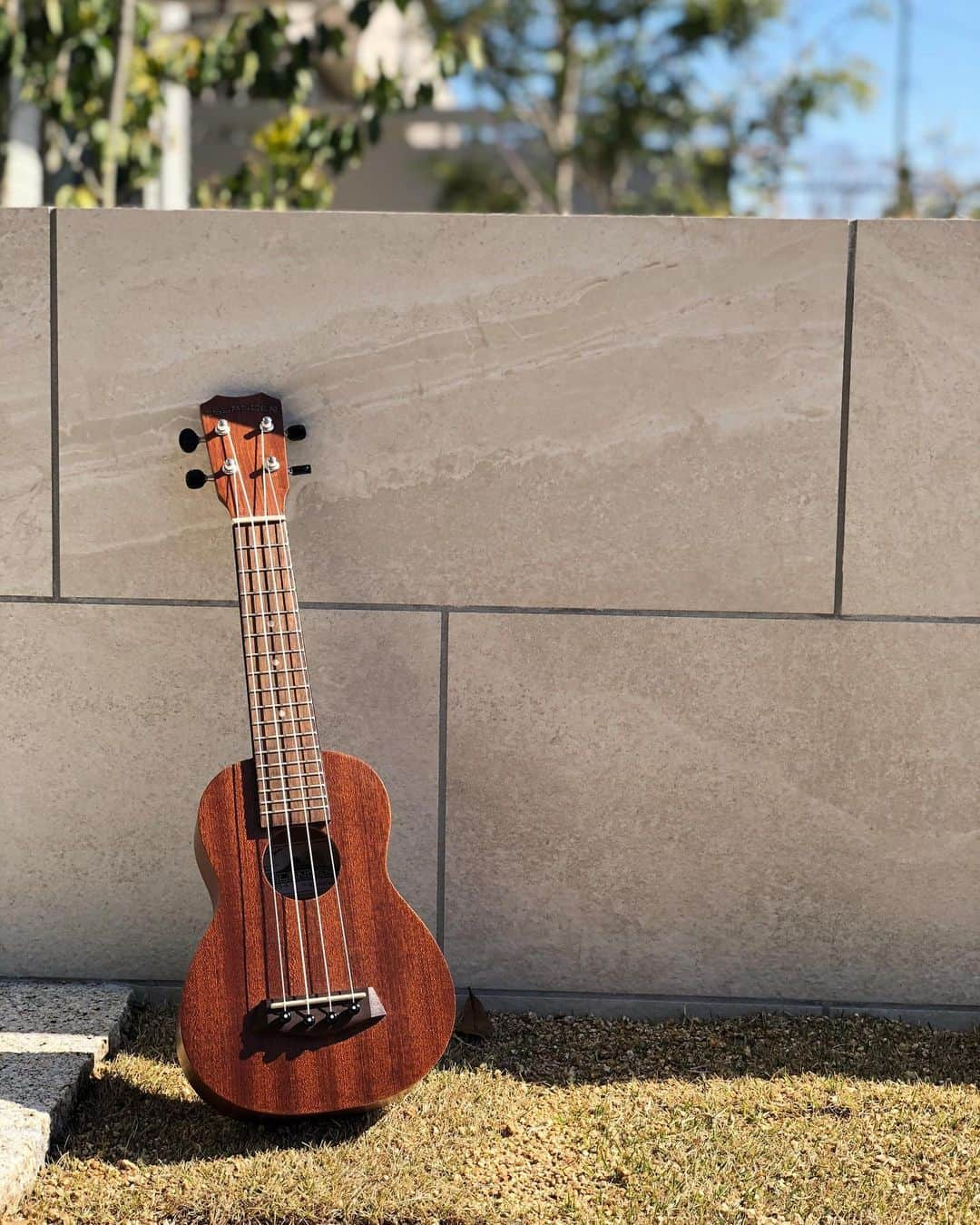 青山美郷のインスタグラム：「・ I restarted to practice ukulele. ・ ウクレレの練習再開しました！  #ukulele#ウクレレ#hawaii#kauai」