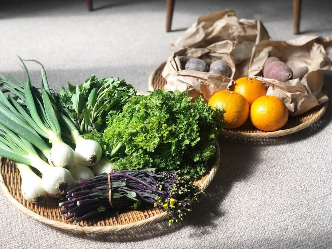 桐島かれんさんのインスタグラム写真 - (桐島かれんInstagram)「週に一度、淡路島から無農薬のお野菜を送ってもらっています。スーパーではお見かけしない種類のお野菜...届くたびに、どう調理しようかとワクワクします。 #無農薬野菜　#vegetables」3月12日 18時21分 - houseoflotuskaren