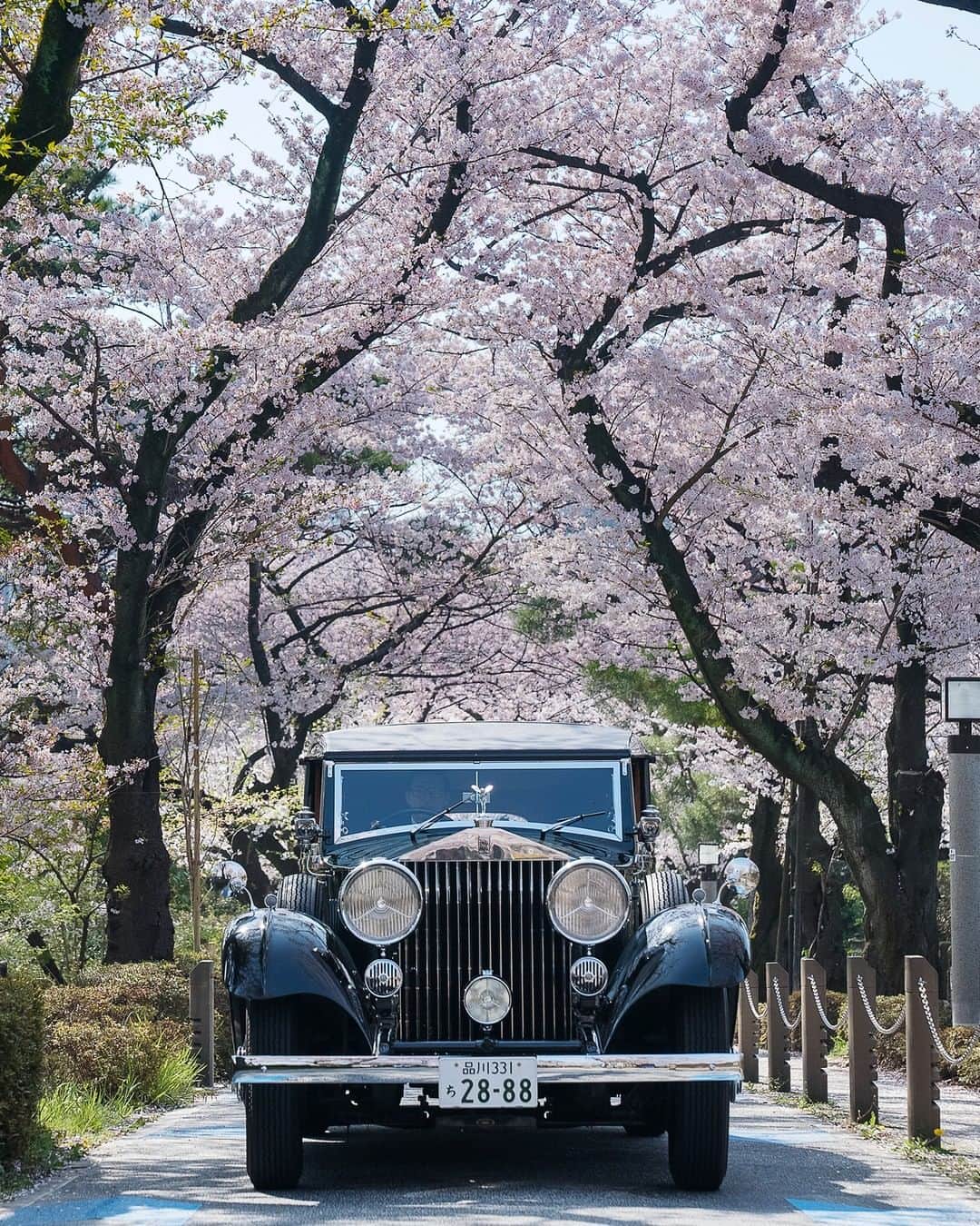 The Peninsula Tokyo/ザ・ペニンシュラ東京さんのインスタグラム写真 - (The Peninsula Tokyo/ザ・ペニンシュラ東京Instagram)「モノトーンカラーだった景色を、淡いピンク色に塗り変えていく桜。華やかな雰囲気に、心もワクワクしてきませんか？東京の桜の開花は17日頃🌸今年の皆さまのご予定は？ ⠀ Sakura (cherry blossom) season is just around the corner and we're so excited to share with you why #PeninsulaTokyoLovesSakura! Join us all this month with sakura experiences and dining offers for the whole family.」3月12日 18時40分 - thepeninsulatokyo
