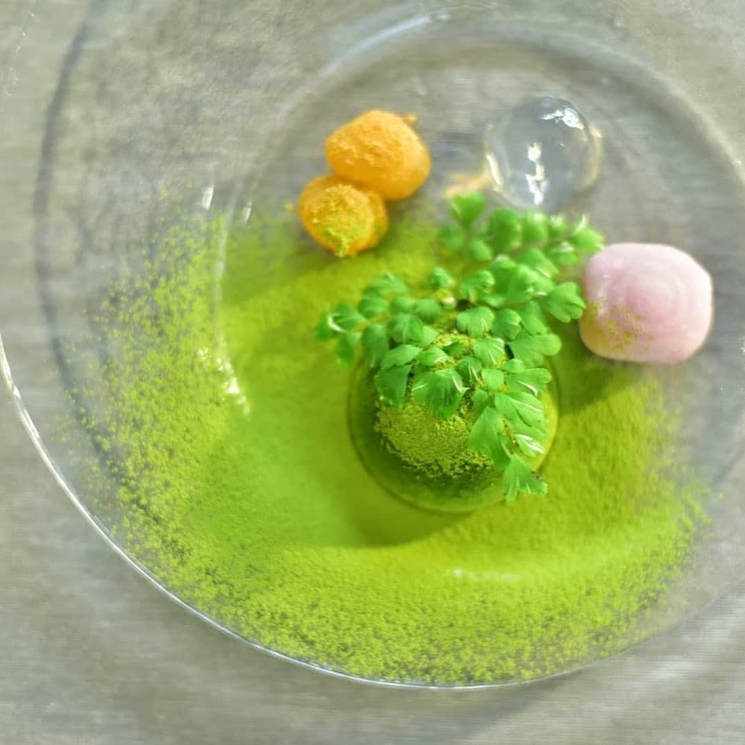 ShinTakedaのグルメインスタ