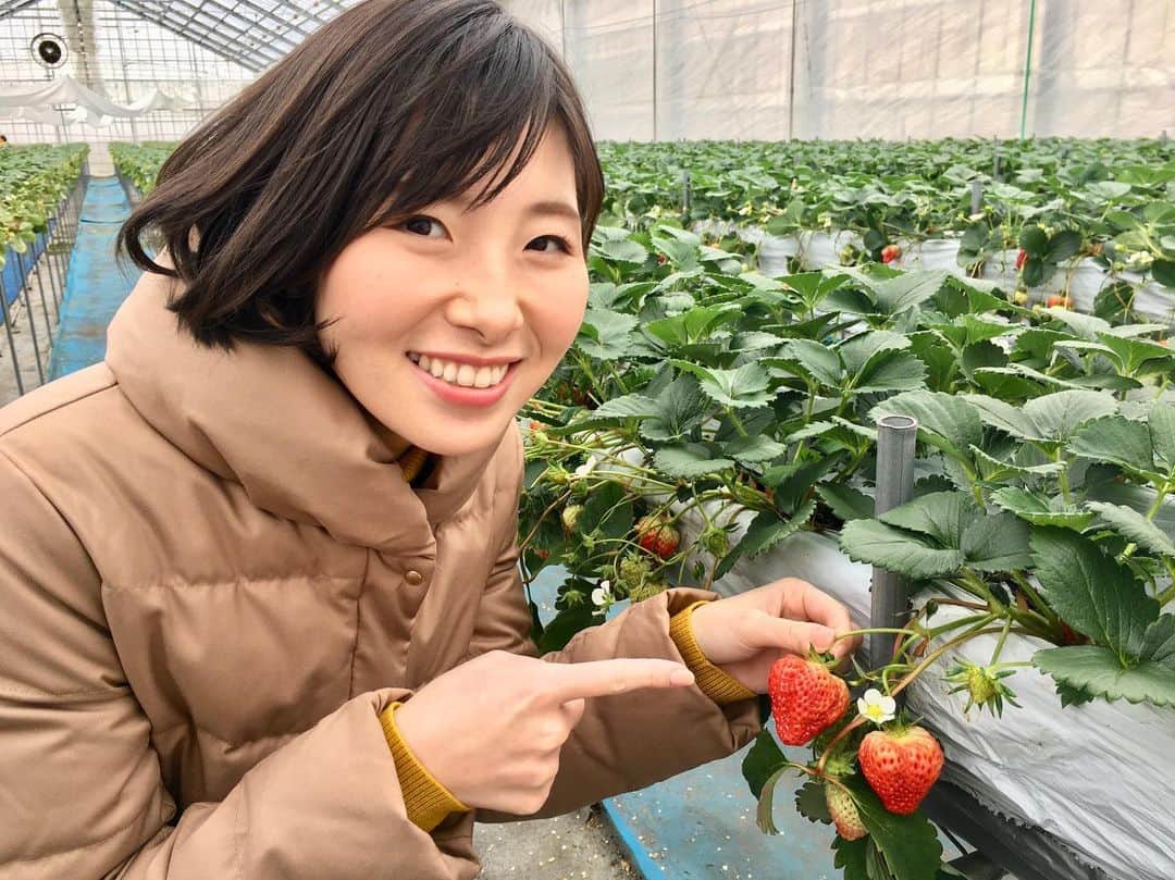 齋藤恵梨のグルメインスタ