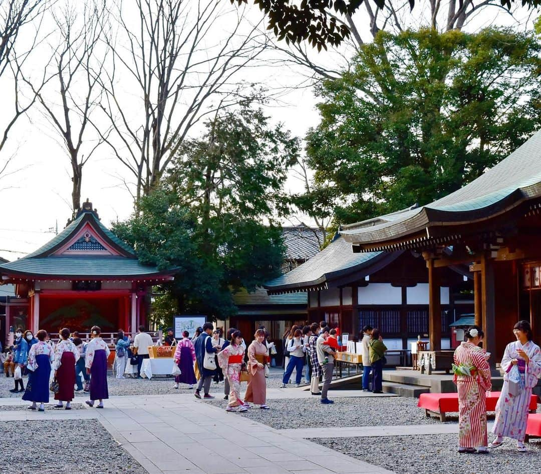 川越氷川神社さんのインスタグラム写真 - (川越氷川神社Instagram)「#川越氷川神社﻿ ﻿ 今日も暖かい一日でした。着物、そして袴姿の女性が多くお参りされていました。ご卒業おめでとうございます。﻿ ﻿ #川越﻿ #kawagoe﻿ #神社」3月12日 19時35分 - kawagoe_hikawa