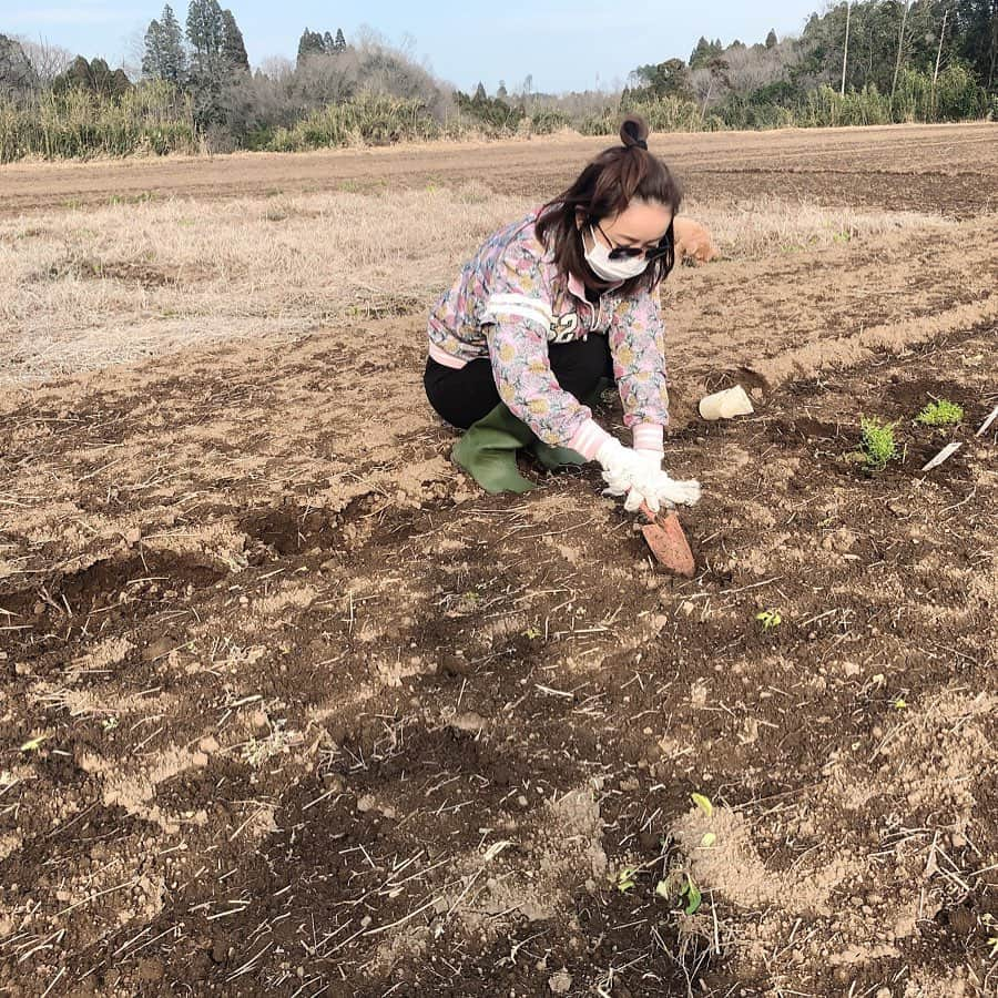 宮崎宣子のインスタグラム