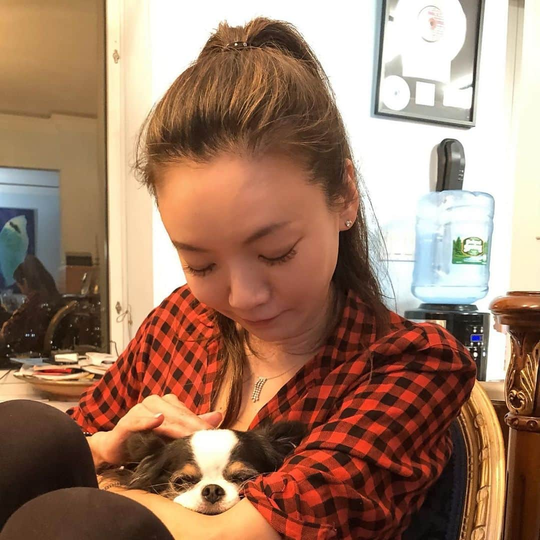 和央ようかさんのインスタグラム写真 - (和央ようかInstagram)「My precious time 🐶❤️ 至福のとき🐶❤️ #takakonystylin🍎 #lifestyle #nylife #nyc🍎#dondon🐶#どんどん🐶 #chihuahua #チワワ #mybaby  @dondon_oreo」3月12日 20時17分 - yokawao0215